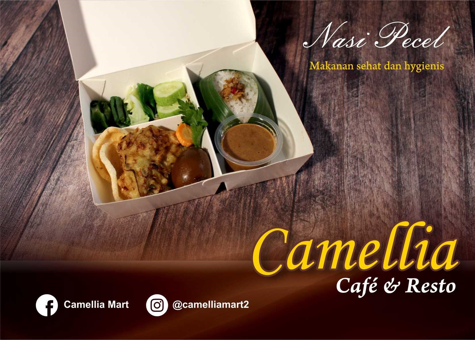 Nasi Pecel Spesial ( box )